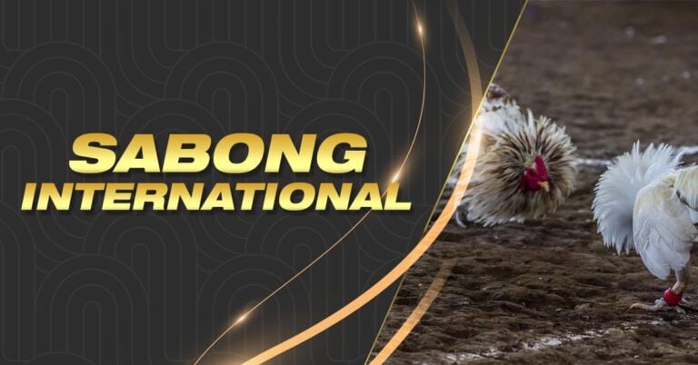 new member register free 100 slot